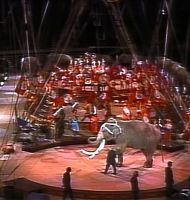 A defining feature of circuses over two centuries, elephants were finally retired in 2016 from performance partially due to declining ticket sales and animal activism. The good news is, Communists no longer blame them for all the ills of society. Circus Elephants