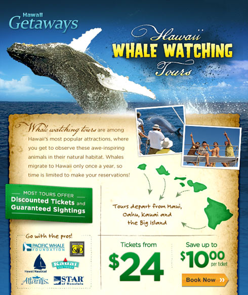 Hawaii Whale Watching Tours email promotion
